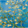 Das Gemälde "Blühende Mandelzweige" von Vincent van Gogh als Akustikbild-Motiv