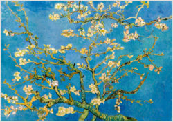 Das Gemälde "Blühende Mandelzweige" von Vincent van Gogh als Akustikbild-Motiv