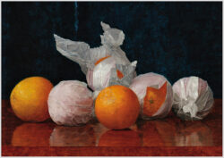 Akustikbild mit einem Motiv von William J McCloskey mit dem Titel "Orangen im Papier"